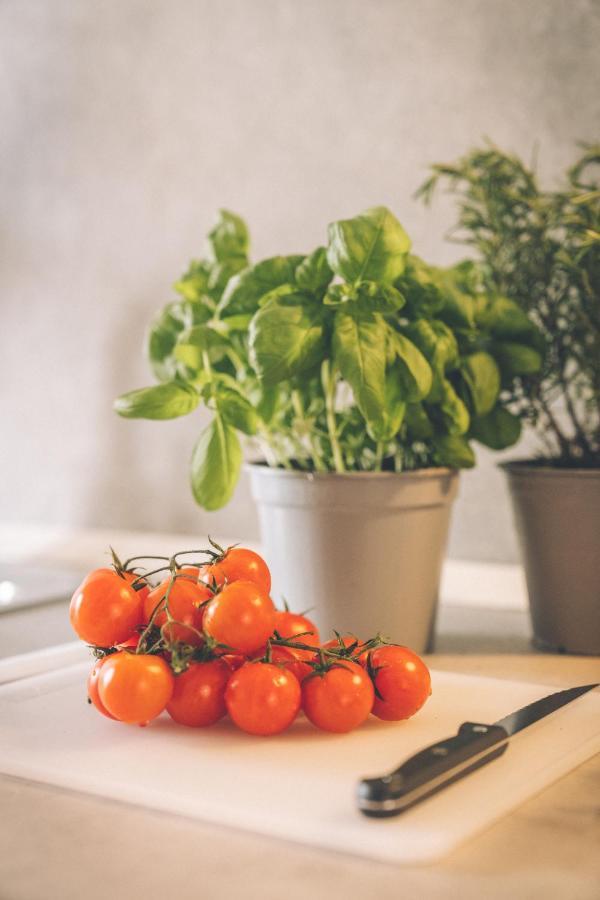 Gomitolo Apt - Dolcevita Holiday Firenze Kültér fotó